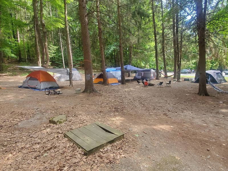 Taconic State Park At Copake Falls