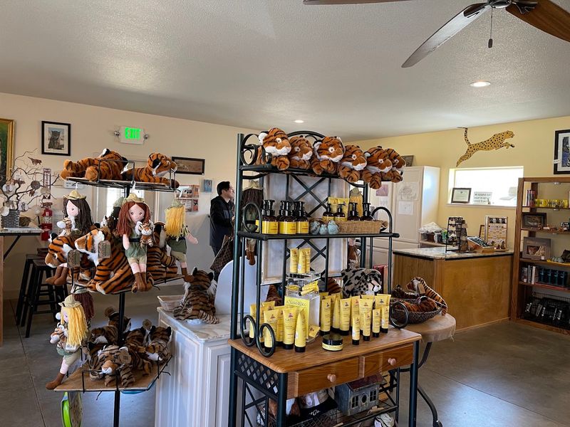 The Gift Shop, Picnic Area, and Little Extras That Add Up