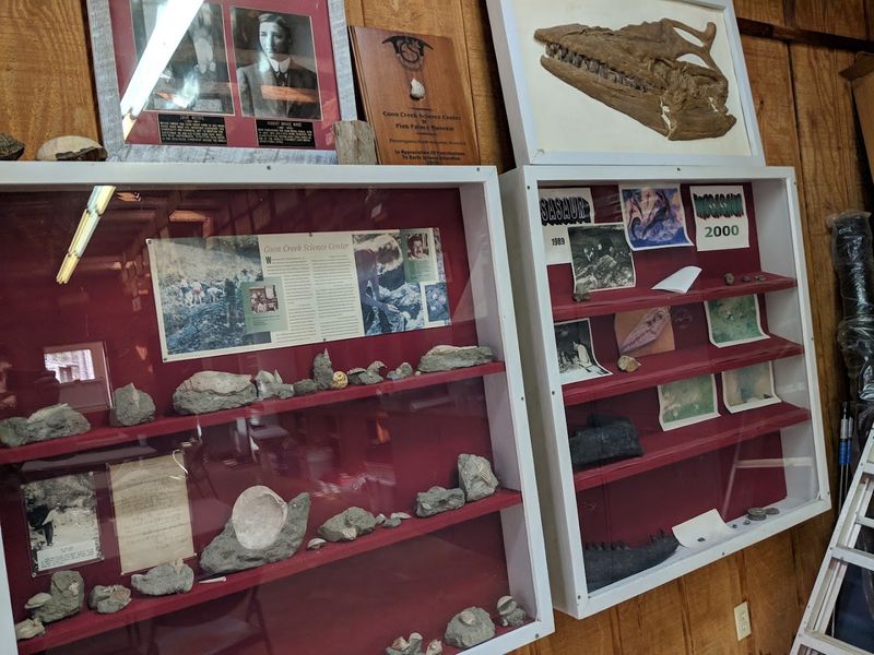 The Science Center's Enduring Legacy