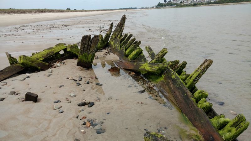 Observations From The Intertidal Zone