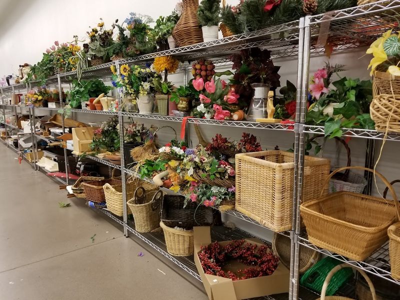 The Joy Of Unexpected Finds