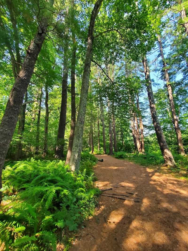 Wildlands Trust Tucker Preserve, Pembroke