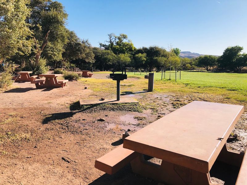 Shaded Picnic Tables Make It Feel Like A Slow, Easy Escape