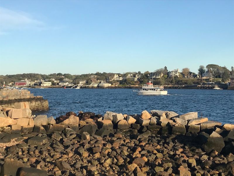 Gloucester Sea Serpent