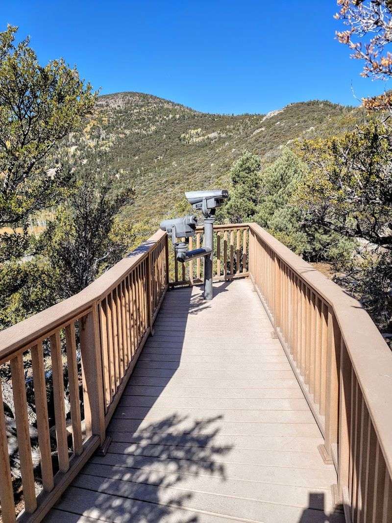 Daytime Sun Gazing With Solar Telescopes