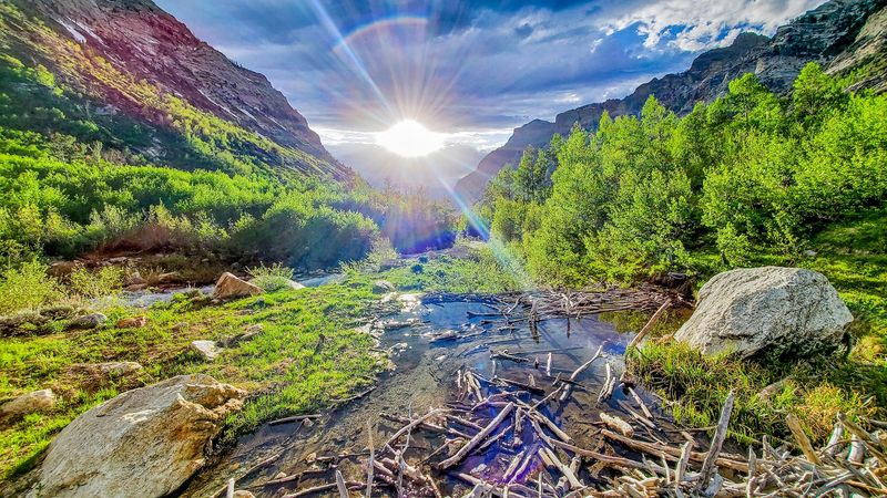 Lamoille Canyon