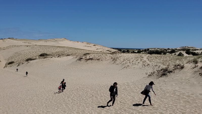 Dune Shacks Trail