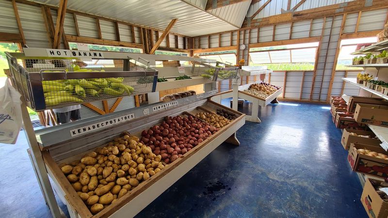 Vernon Amish Community Market Offers A Village-Like Feel Deep In Metcalfe County