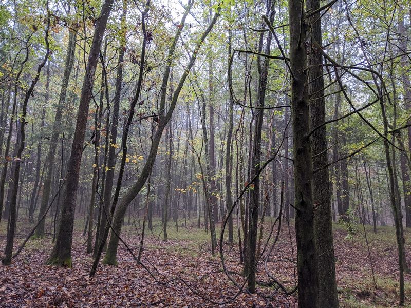 The Jason M. Stewart Nature Trail For Young Explorers