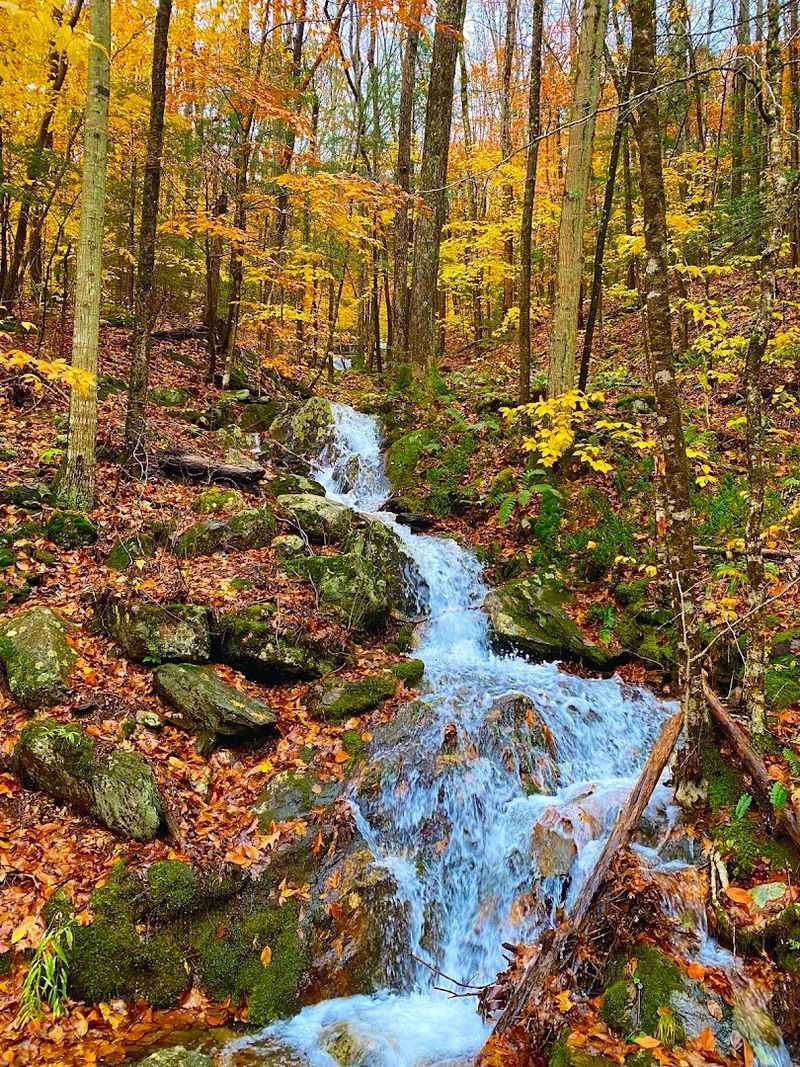 Sanderson Brook Waterfall