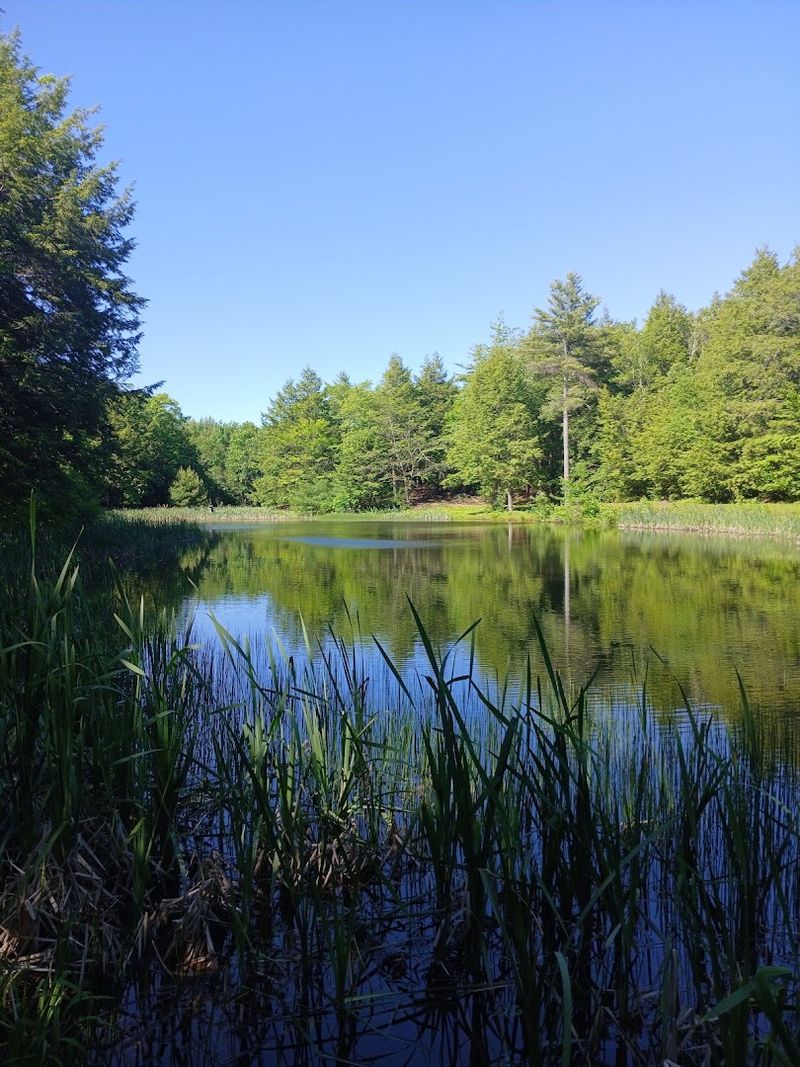 Shapleigh, ME