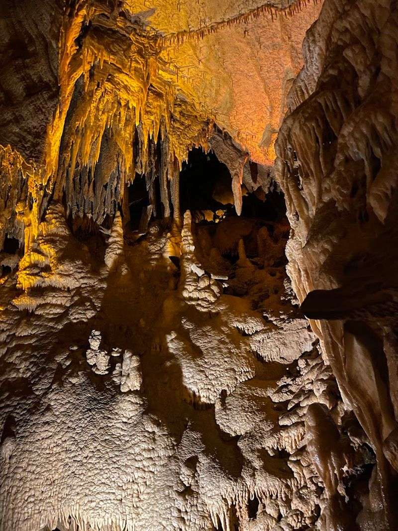 Biodiversity Supported By The Underground Environment