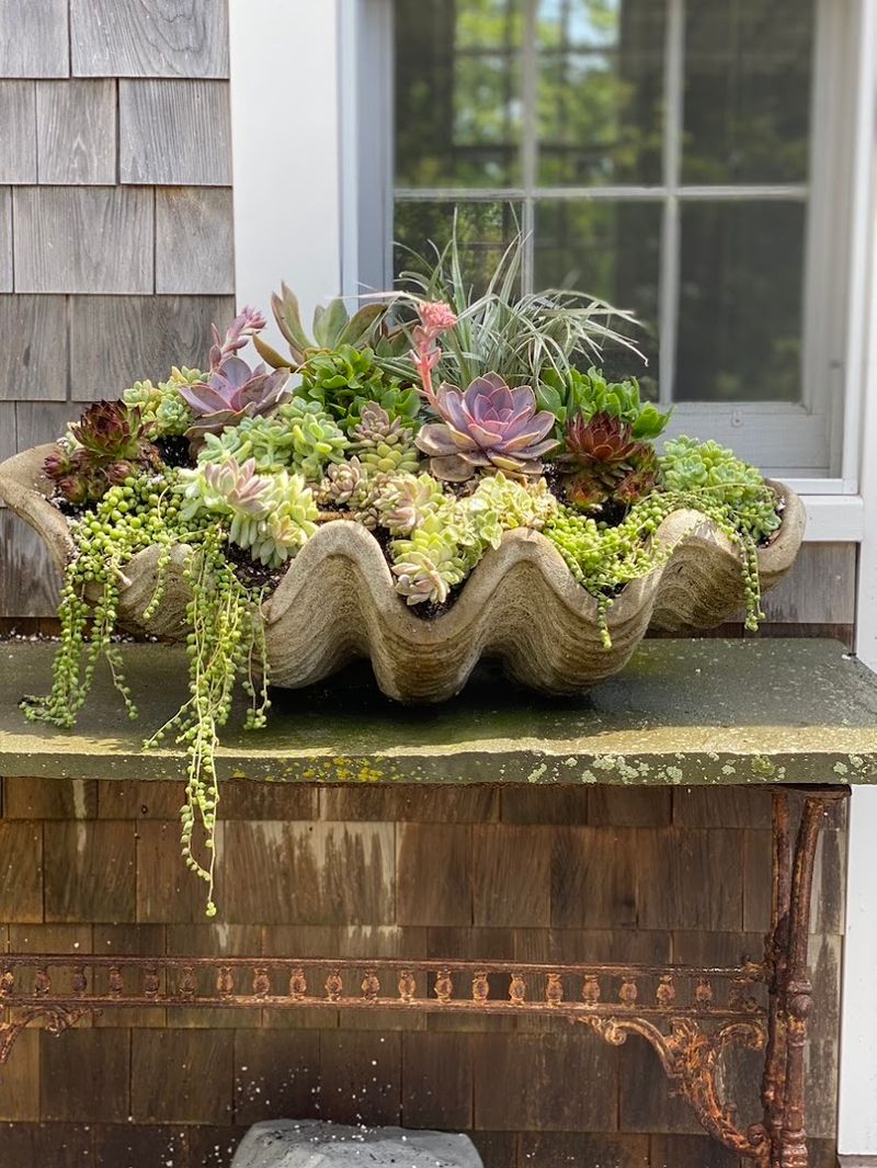 Succulents Done Seriously