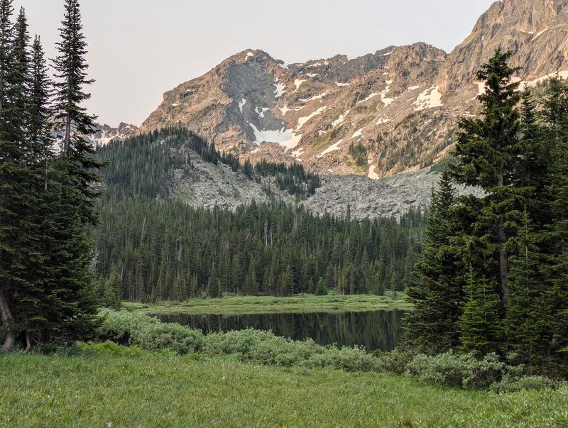 Grizzlies Moose And Bighorn Sheep Share These Remote Trails