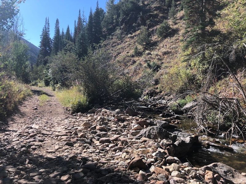 The Drive In: A True Wilderness Gateway