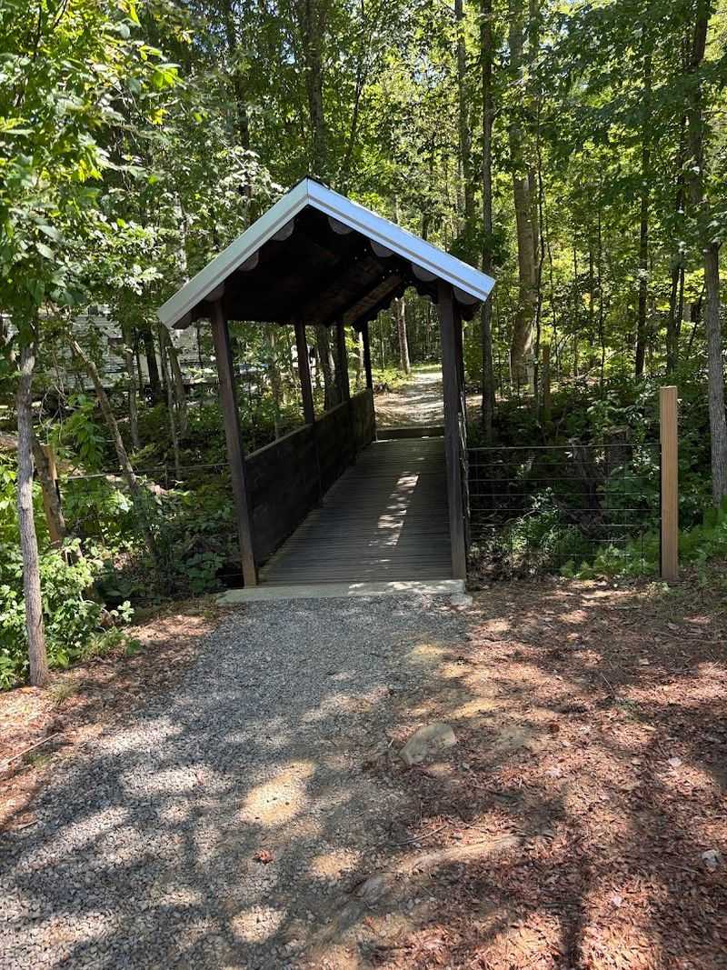 Trails, Waterfalls, And The Unicoi Turnpike
