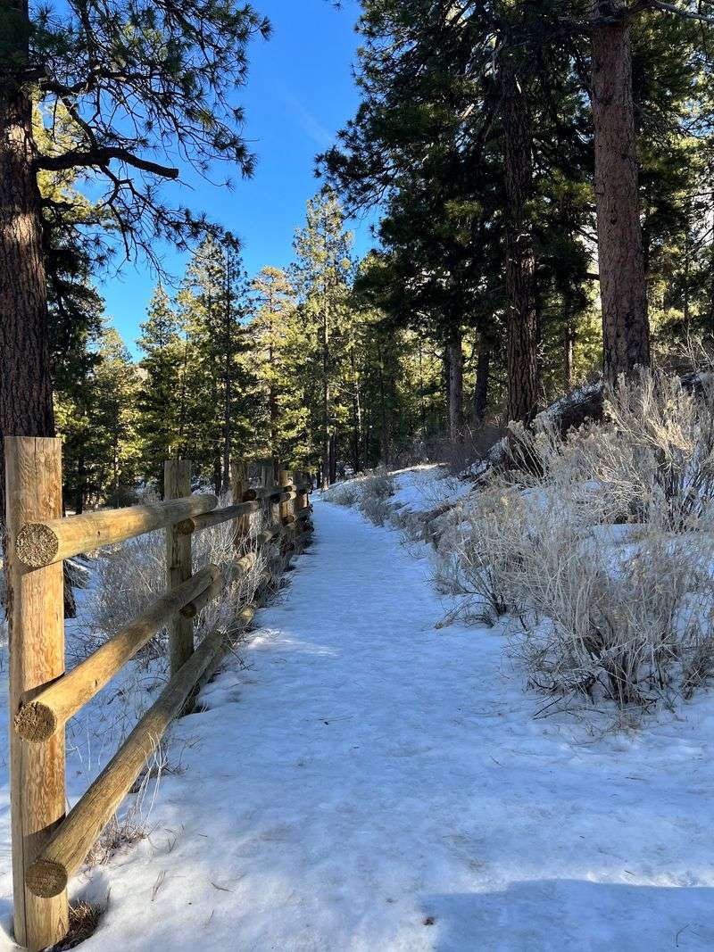 Mount Charleston - Quieter