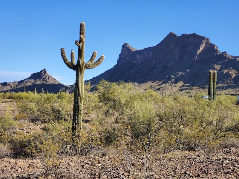 Picacho Peak State Park
