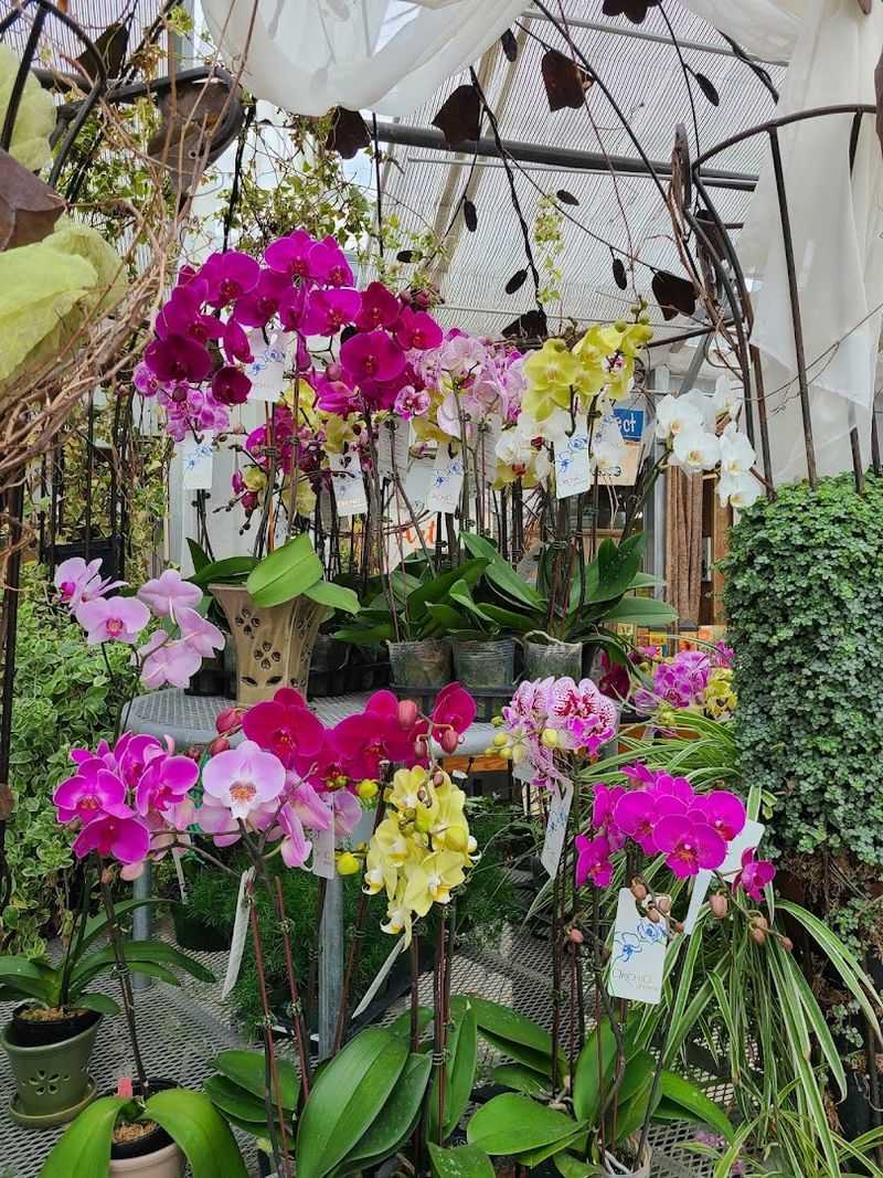 A Must-Visit Stop For Wisconsin Gardeners