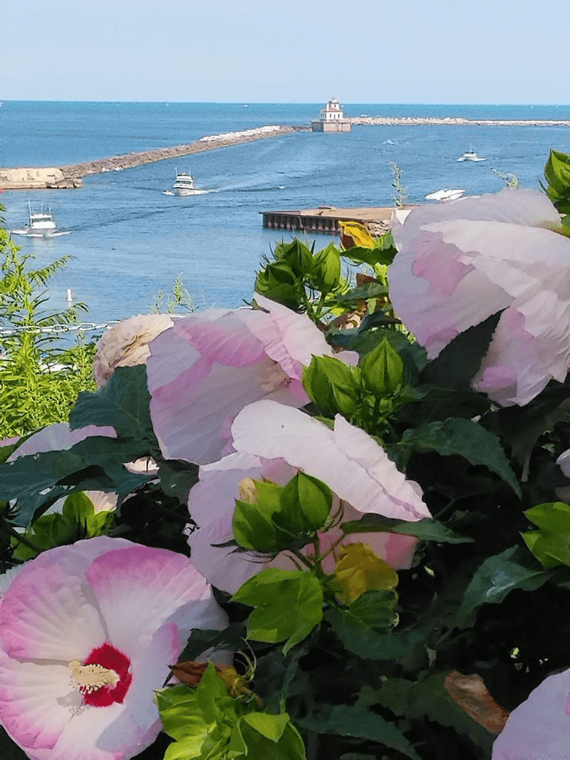 Outdoor Life Along The Great Lake Shore