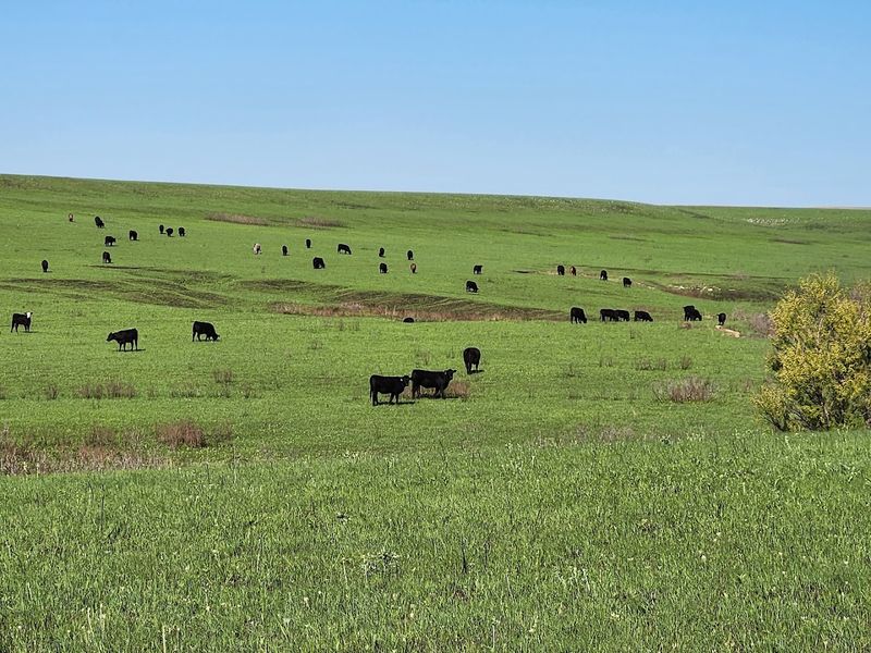 Prairie Views That Steal Your Heart