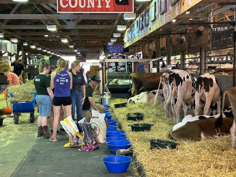 Farm Animals That Bring Agriculture To Life