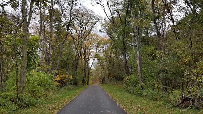 Wildlife Around Every Bend