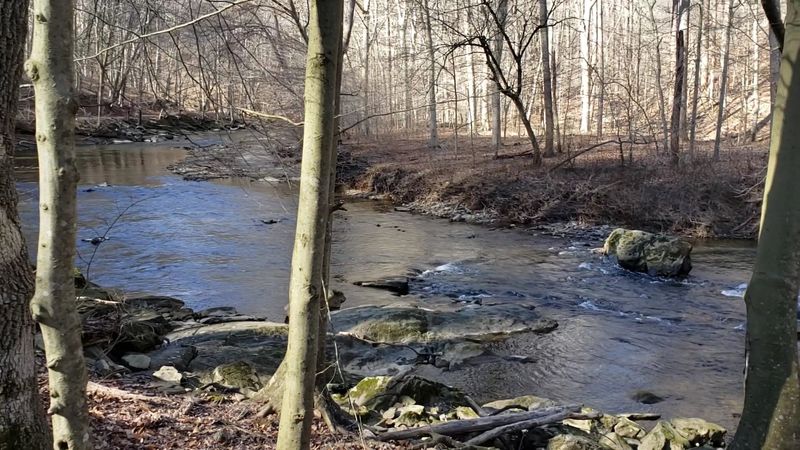 White Clay Creek And Its Wild Scenic Beauty