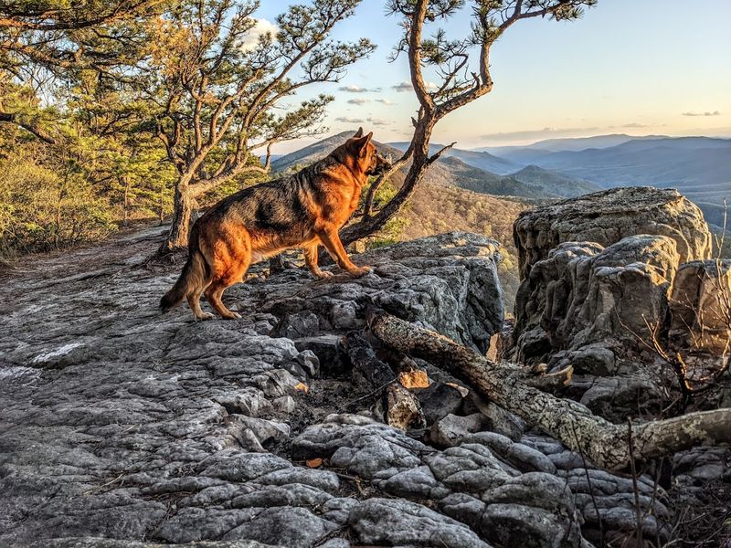 Best Times To Visit The Trail