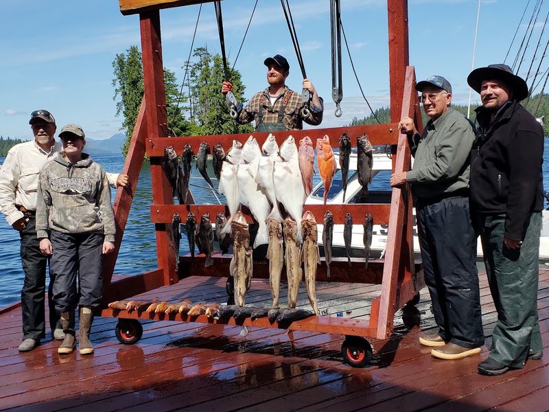 Halibut, Salmon, And Everything In Between
