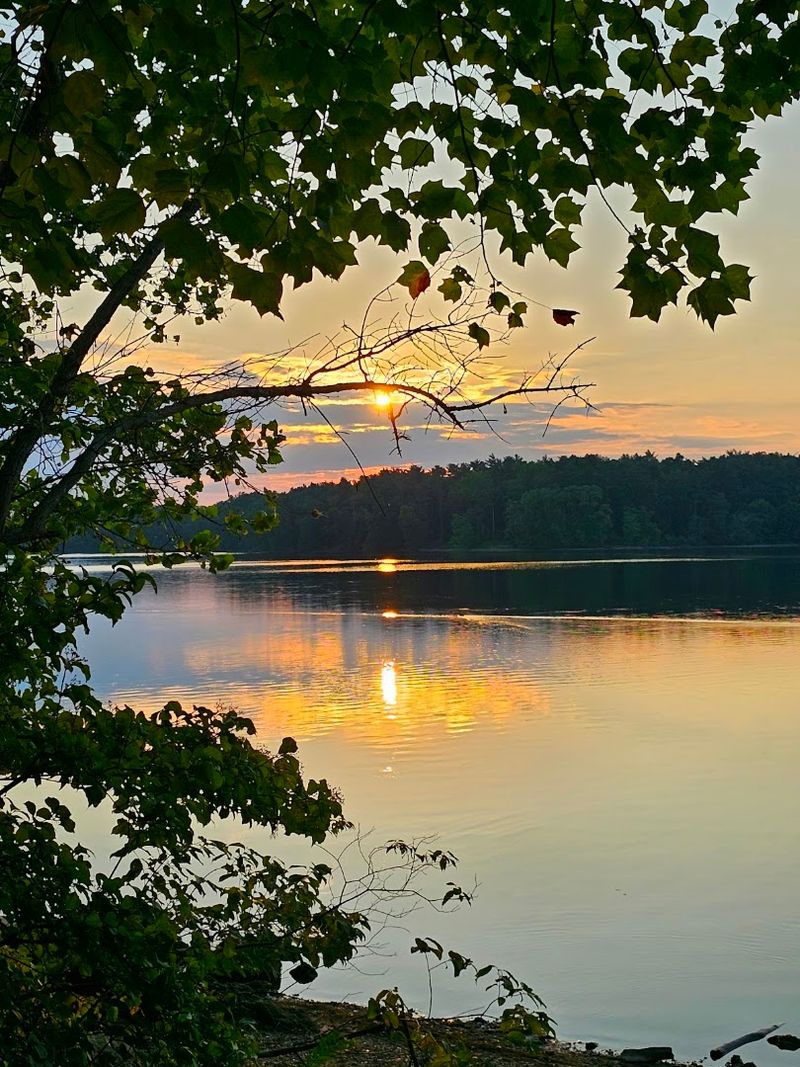 Nature Feels Surprisingly Remote This Close To Baltimore