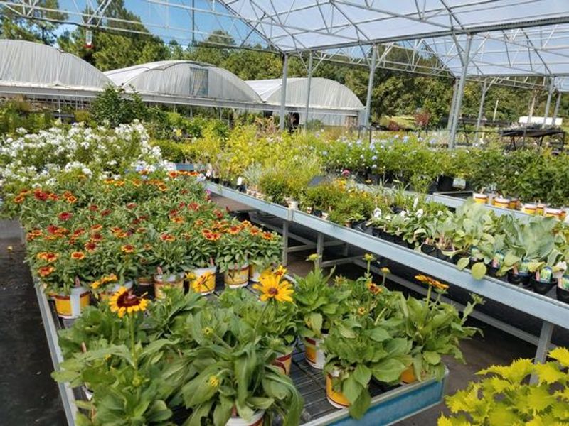 The Address Every Plant Lover Should Save