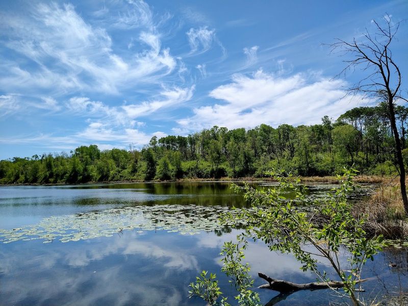Turtle Mountain State Forest