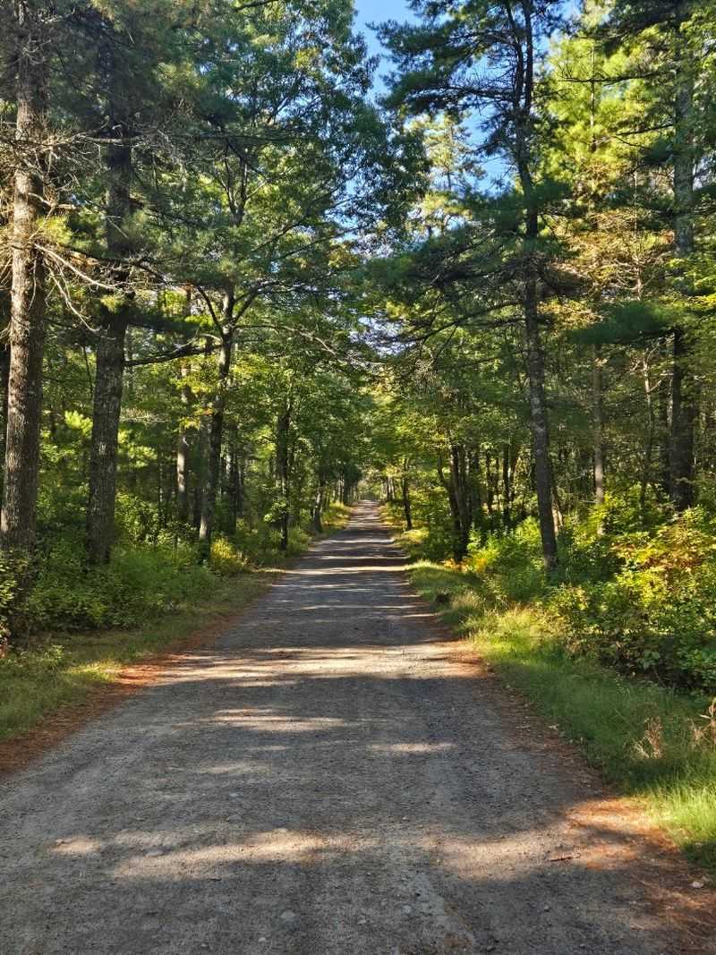 Freetown-Fall River State Forest, Assonet