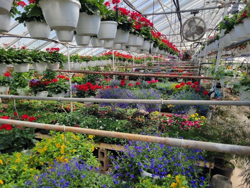 Reliable Plants With Strong Roots