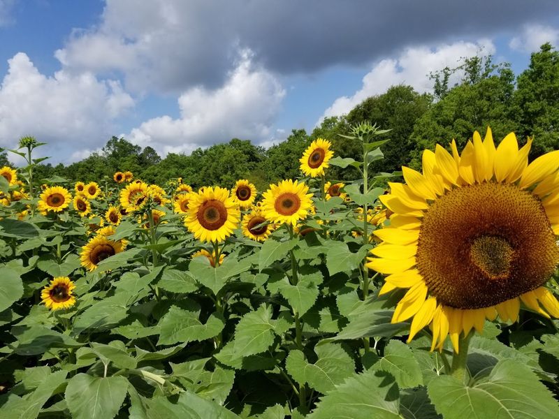 Spring Versus Fall: Picking Your Perfect Visit Window