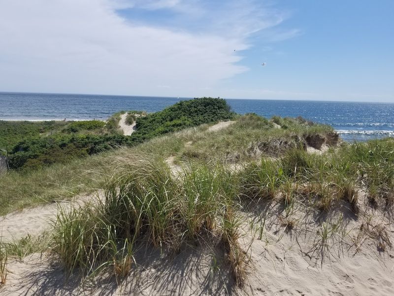 Guided Walks And Educational Programs For Curious Visitors