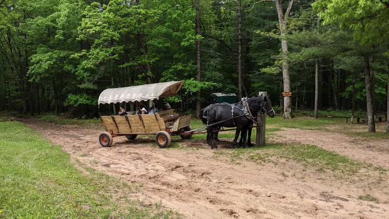 Wagon Rides That Bring Old-School Adventure To Life