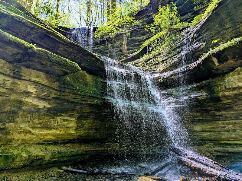 Wells Hill Park Falls