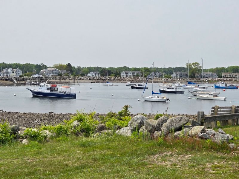 What The Harbor Actually Looks Like