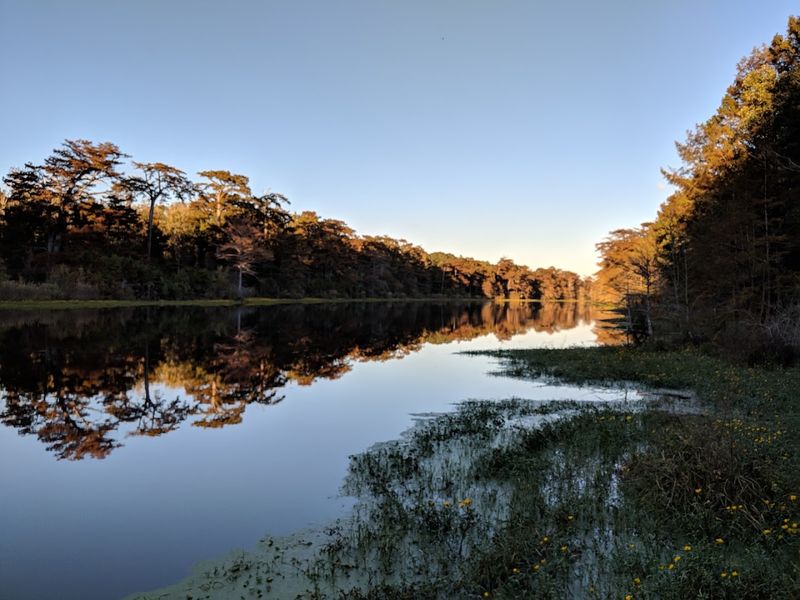 Tensas River National Wildlife Refuge