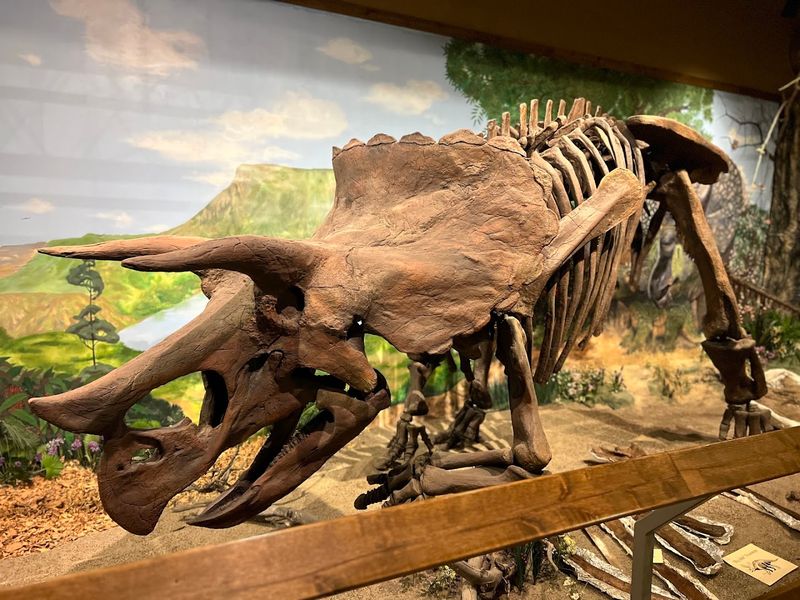 Fossil Hunting and the Montana Dinosaur Trail