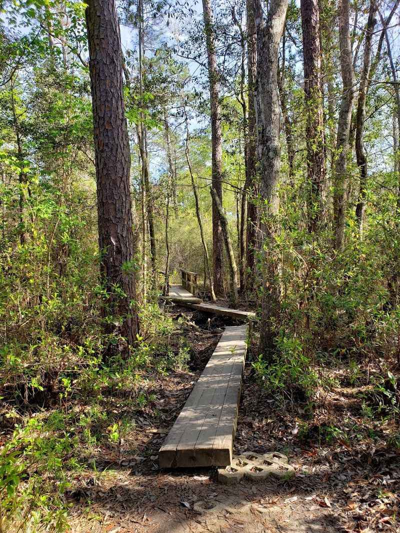 Seasonal Changes Affecting Trail Conditions
