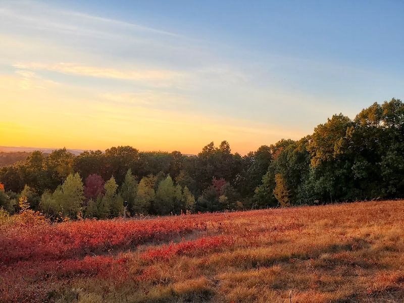 Weir Hill Reservation
