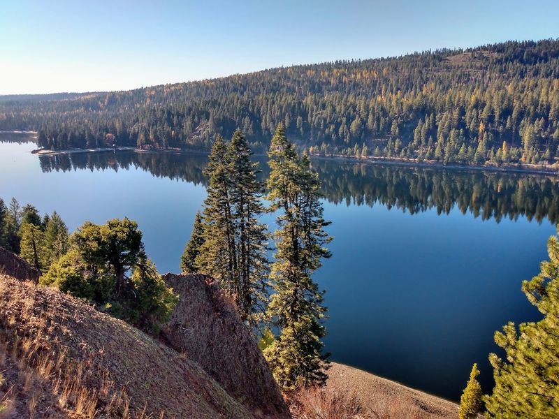 McCall
