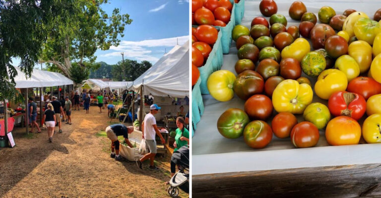 Saturday Mornings Bring Out The Best Tomatoes At This North Carolina Market Locals Love