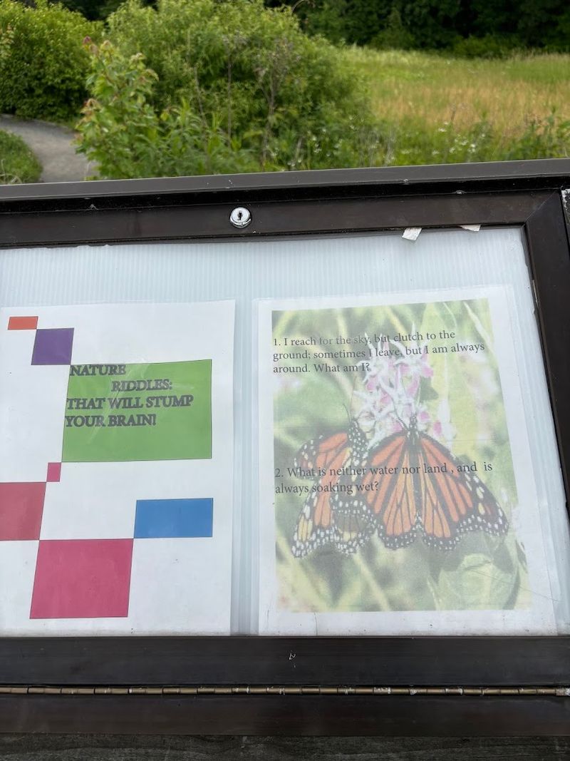 Interactive Storybooks Along The Way