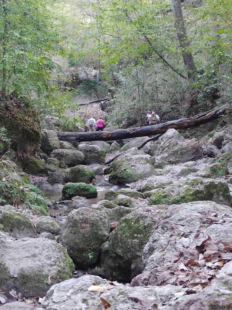 Trail Difficulty And Accessibility Guide