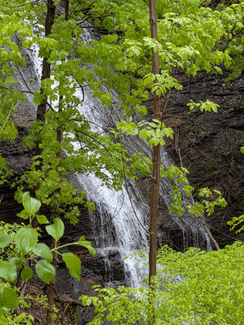 Nature Is Practically Your Backyard