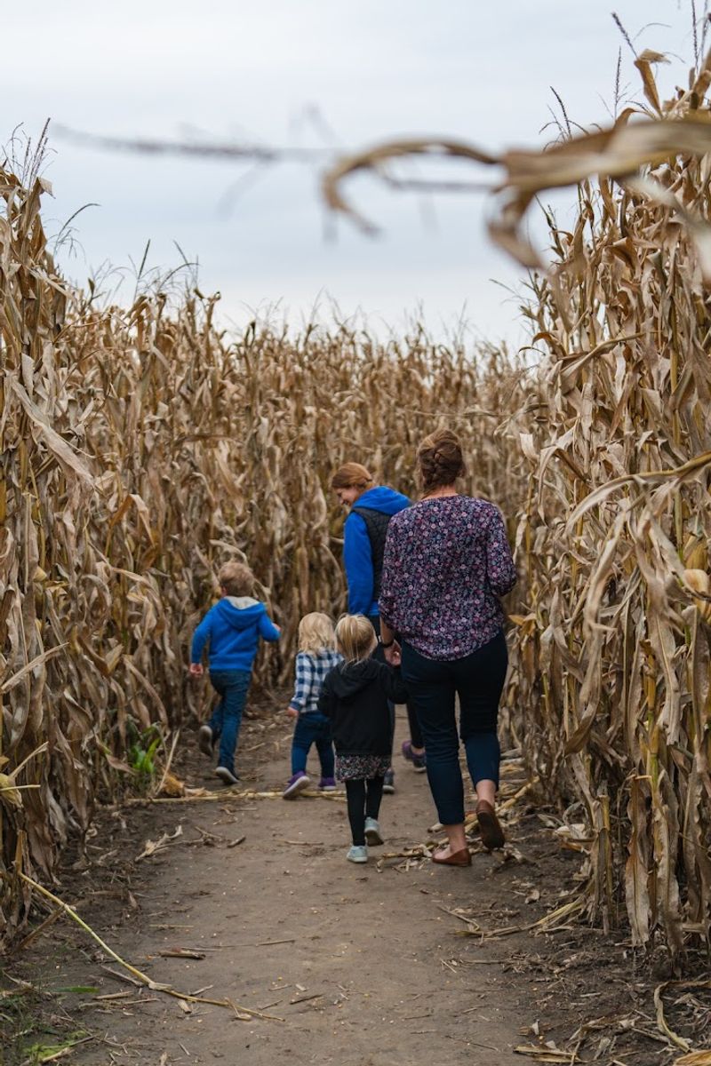 Vesperman Farms